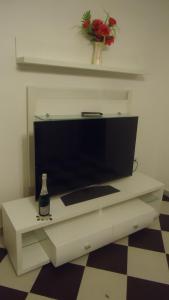 TV a/nebo společenská místnost v ubytování Apartments Tomi