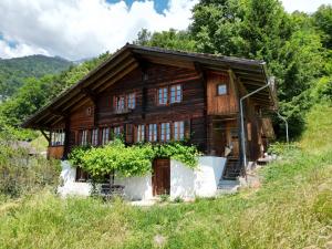 a wooden house on the side of a hill at Meieli's Chalet in Hofstetten 