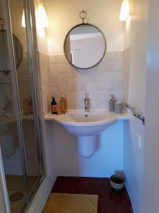 y baño con lavabo, espejo y ducha. en Le Clos du Verger, en La Motte-du-Caire