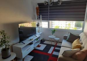 康塞普西翁的住宿－Departamento Excelente Ubicación，带沙发和平面电视的客厅