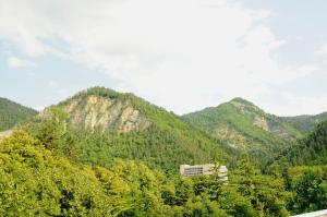 a mountain with trees and a building in front of it at Alma-Ata Hotel in Borjomi