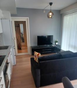 a living room with a couch and a flat screen tv at Scandpoint Apartment Fornebu Near Sea front with outdoor walk! in Stabekk