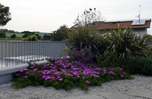 A garden outside Il Portico