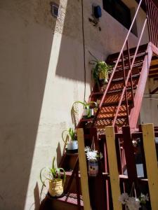 a set of stairs with potted plants on them at Casa Samachiy in Humahuaca