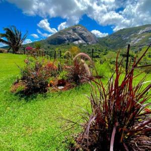 a group of plants in a field with mountains at Flat na natureza in Bonito