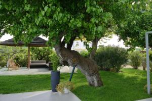 A garden outside Il Portico