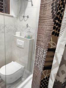 ein Bad mit einem WC und einer Glasdusche in der Unterkunft Apartments by the sea Vis - 2457 in Vis