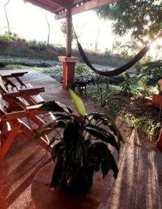 une plante dans un pot assis à côté d'une table dans l'établissement Cabaña Campo Verde, à Marsella