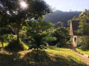 a small tree in a field next to a house at Homebar in Ko Chang