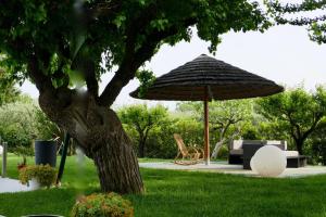 A garden outside Il Portico