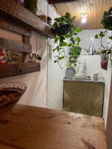 een keuken met planten aan de muur en een wastafel bij suite com vista mar in Salvador