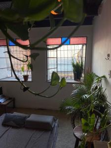 een kamer met twee ramen en planten erin bij suite com vista mar in Salvador