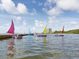 Naturlandskabet i nærheden af lejligheden