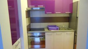 Kuchyň nebo kuchyňský kout v ubytování Apartments Tomi