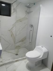 a white bathroom with a shower and a toilet at casa entera con estacionamiento in Santiago