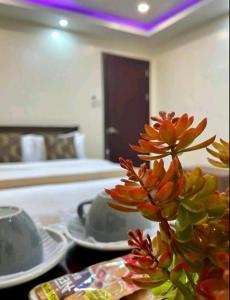 a flower in a vase on a table in a room at Hillside Hotel in San Jose