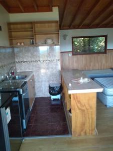 a small kitchen with a sink and a stove at Departamentos y Cabañas tres espinos altos in Valdivia