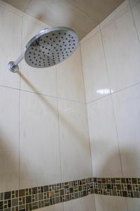 a shower with a shower head in a bathroom at Hotel Boutique Casa Tellez 