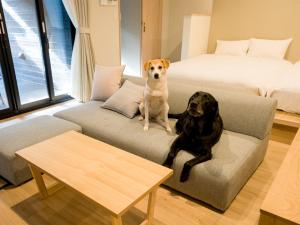 Rakuten STAY Nikko Hoden Capacity of 8 persons في نيكو: وجود كلبين يجلسون على أريكة في غرفة المعيشة