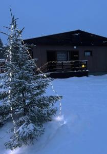 ein schneebedeckter Weihnachtsbaum vor einem Gebäude in der Unterkunft NORVALA The shower is located in the main building in Rovaniemi