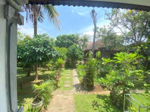 a garden view from a window of a house at suris bungalow 2 in Pabean Buleleng