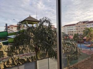 - une vue sur un palmier depuis la fenêtre dans l'établissement Tiara Beach Resort Cozy Studio Apartment, à Port Dickson