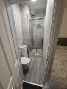 a bathroom with a toilet and a walk in shower at Adam letting(s) in Middlesbrough