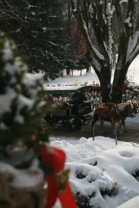 Pension Wolfgangsee v zimě