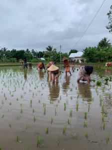 特特巴图EDRIAN BUNGALOWS的相册照片