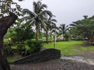 a park with palm trees and a stone wall at VistaBerge in Bagac