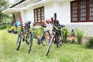 Ciclismo en Lion Shade Tourist Bungalow o alrededores