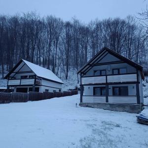 two houses in a yard covered in snow at Family House in Izki