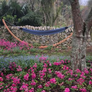 een hangmat in een tuin met bloemen en een stenen muur bij English Cherry Tree Manor in Tamahere
