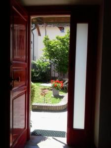 Zahrada ubytování Dragonfly B&B