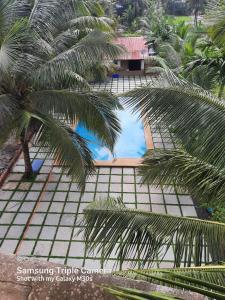 an overhead view of a swimming pool with palm trees at Green House Stay in Mandrem