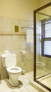 La salle de bains est pourvue d'une douche et de toilettes. dans l'établissement Candlewoods Guesthouse, à Irene