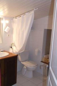 ein weißes Bad mit einem WC und einem Waschbecken in der Unterkunft Le Petit Massigny in Velluire