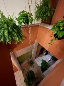 Fotografie z fotogalerie ubytování HOTEL PUEBLO GRANDE v destinaci Pátzcuaro