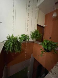 Fotografie z fotogalerie ubytování HOTEL PUEBLO GRANDE v destinaci Pátzcuaro