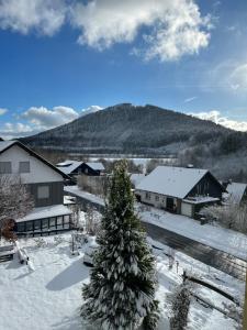 eine schneebedeckte Stadt mit einem Weihnachtsbaum in der Unterkunft Casa Milix - Bed & Breakfast in Winterberg