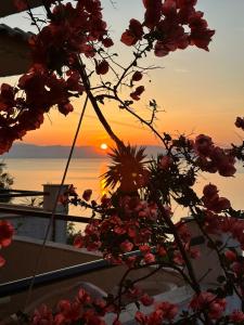 una puesta de sol sobre el océano con flores en primer plano en Ionian Sea View Studios by Hotelius, en Episkopianá
