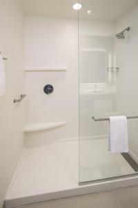 a bathroom with a shower with a glass door at Residence Inn by Marriott Jacksonville South Bartram Park in Jacksonville