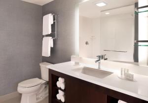 a bathroom with a sink and a toilet and a mirror at Residence Inn by Marriott Jacksonville South Bartram Park in Jacksonville