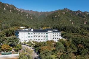 una vista aérea de un hotel con montañas en el fondo en Hotel Gaya, en Songju