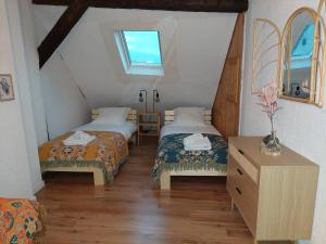 Zimmer im Dachgeschoss mit 2 Betten und einem Fenster in der Unterkunft Le Petit Chez Vous in Colmar