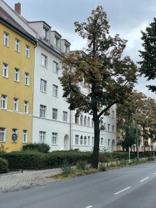 a tree in front of a white building at AnnApartment in Berlin
