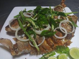 飯店或附近的食物
