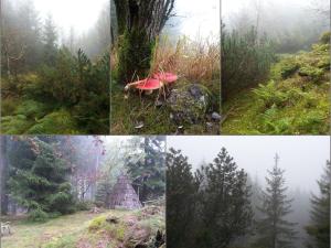 Fotografie z fotogalerie ubytování Tiny House Paradies v destinaci Wustermark