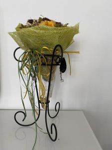 a vase filled with plants on a white wall at Lella's Home in Quartu SantʼElena +15 photos