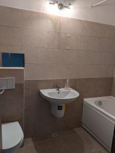 Koupelna v ubytování Apartament regim hotelier Alba Iulia